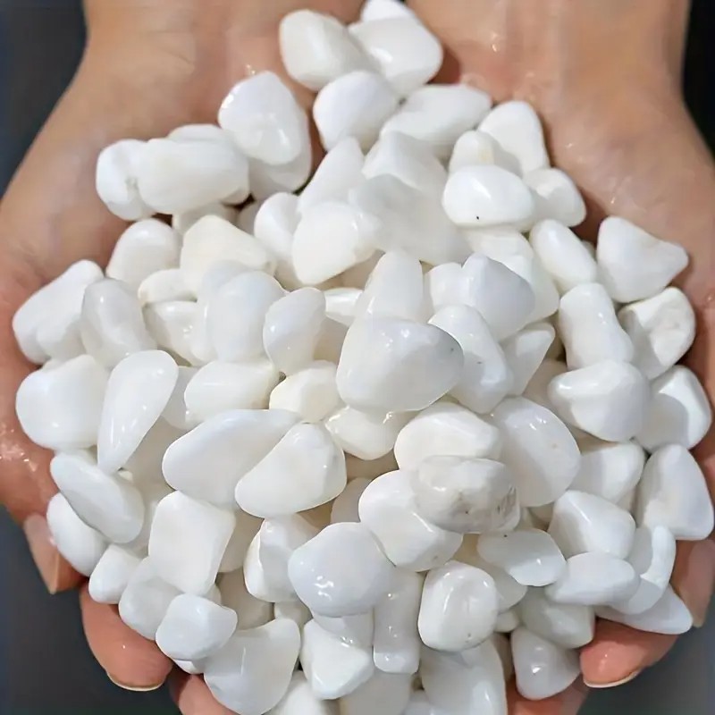 Pet Beds - Perlite di alta qualità da 1L