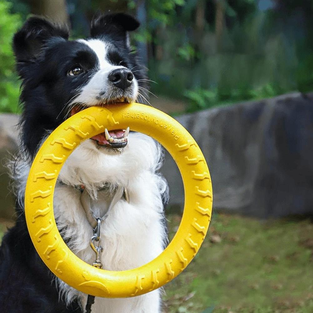 Indestructible Dog Chew Toy - Giocattoli a forma di anello per