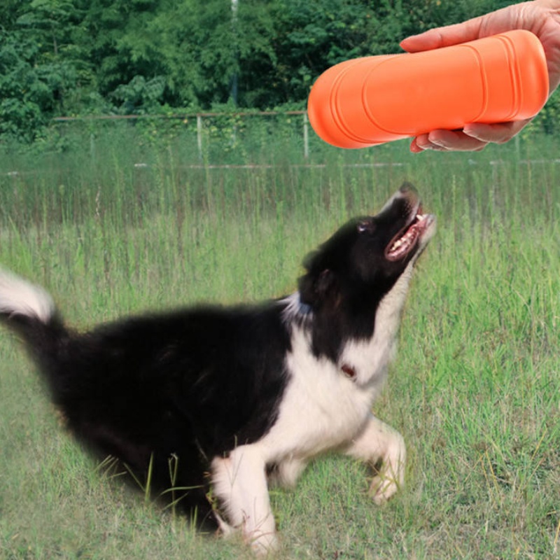 Disco Volante in Gomma Morbida - Flying Disc Dog Training Toy recensione e prezzo