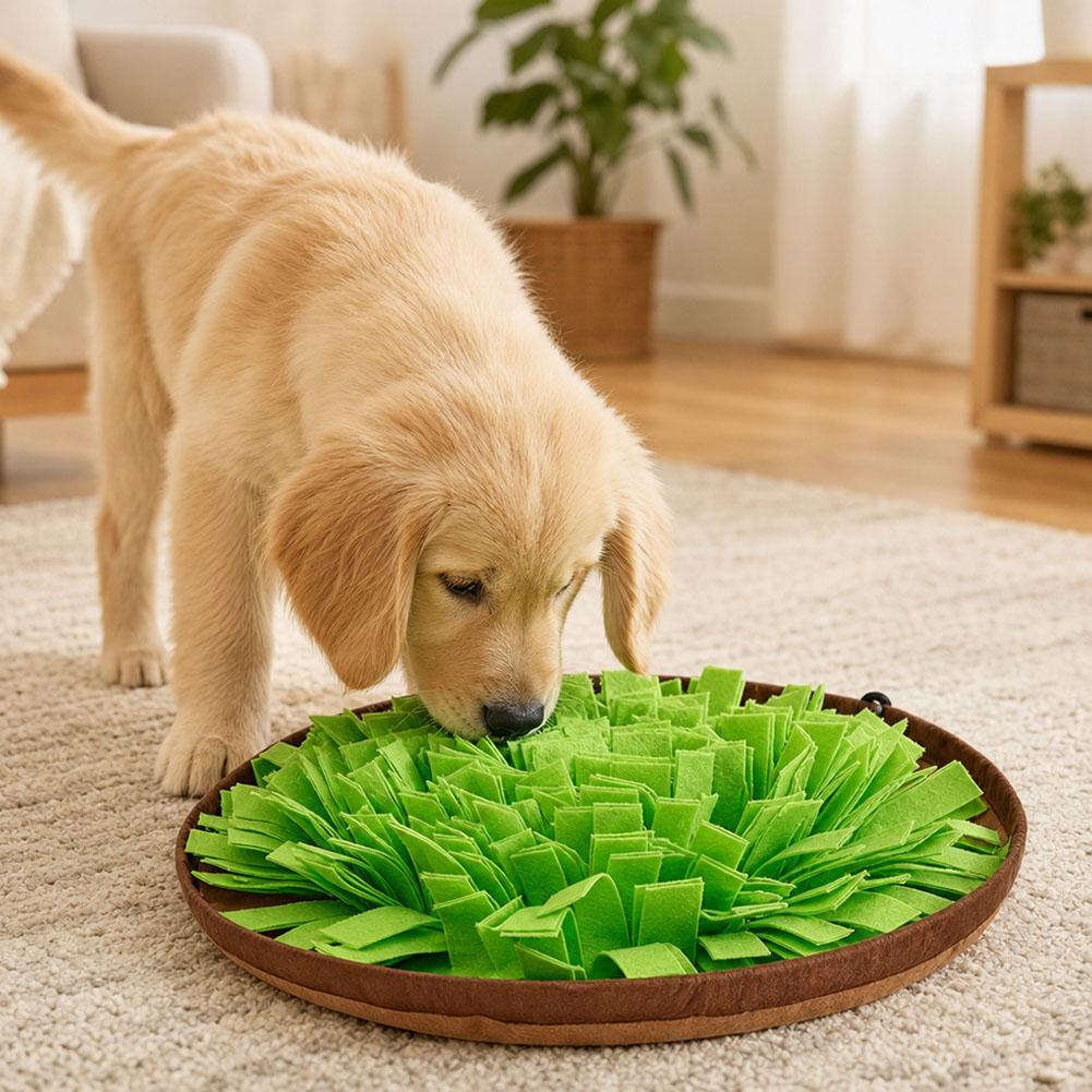 Tappetino interattivo per cani - Dog Puzzle Feeder Toy recensione e prezzo