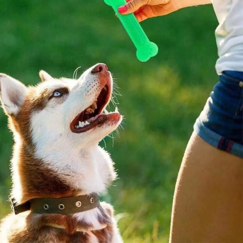 Giocattolo da masticare per os - Teeth Cleaning Dog Chew Bone recensione e prezzo