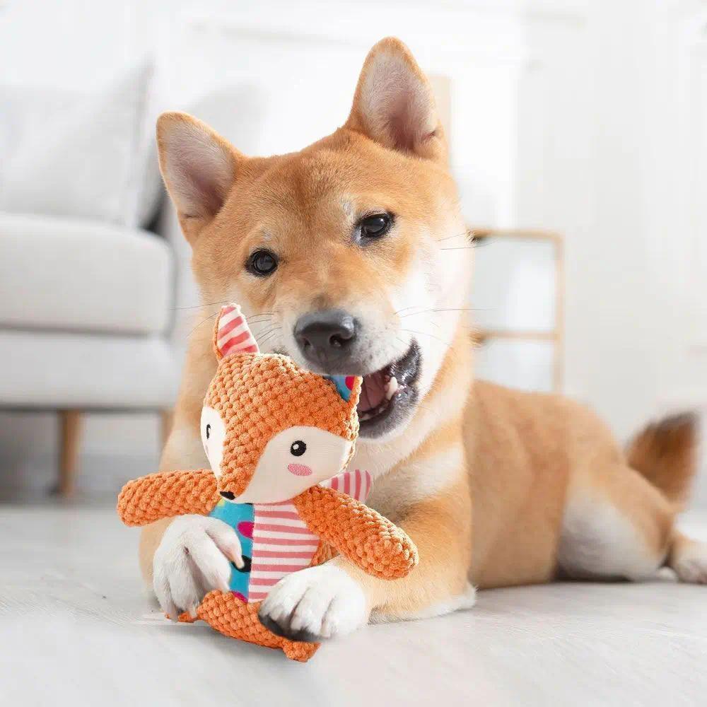 Giocattolo Interattivo per Can - Indestructible Dog Chew Toy recensione e prezzo