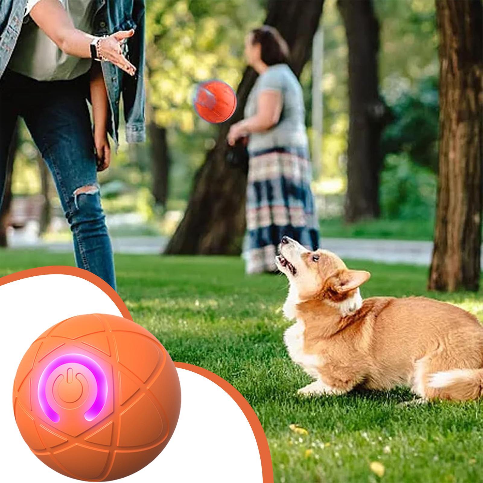 Giocattoli interattivi intelli - Automatic Moving Dog Ball recensione e prezzo