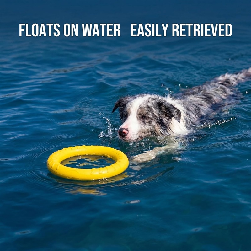 Giocattoli per cani: Frisbee i - Flying Disc Dog Training Toy recensione e prezzo