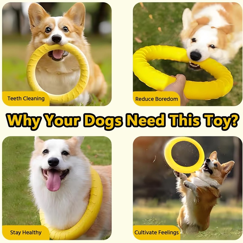 Giocattoli per cani: Frisbee i - Flying Disc Dog Training Toy recensione e prezzo