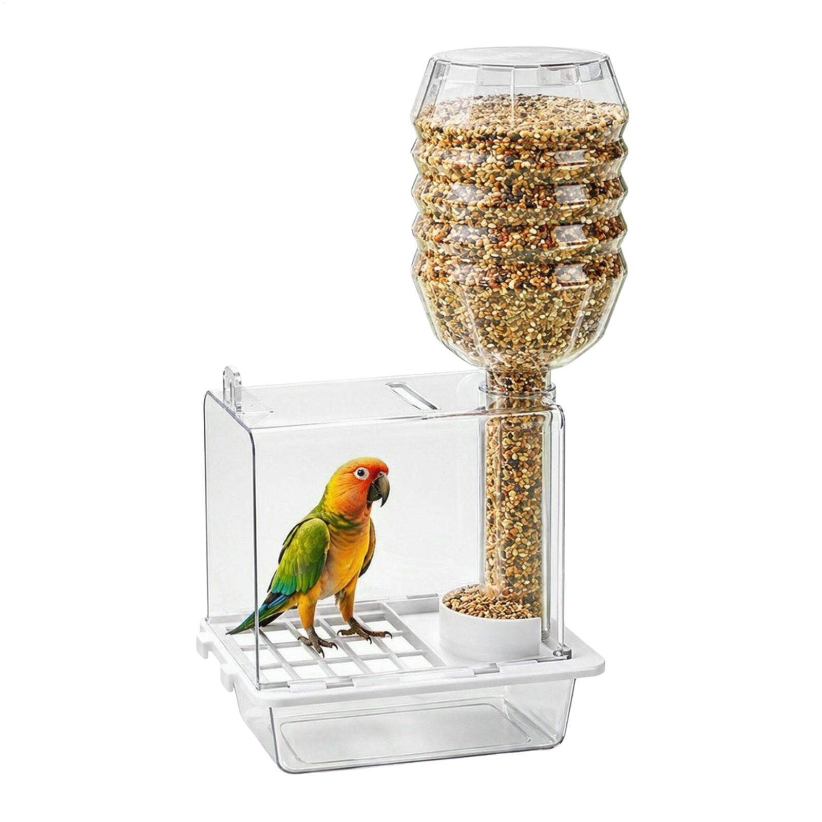 Mangiatoia automatica per ucce - Pet Feeders recensione e prezzo