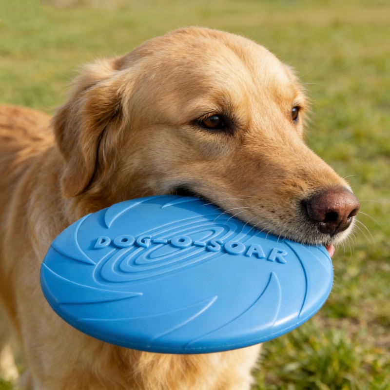 Giocattolo a forma di disco vo - Flying Disc Dog Training Toy recensione e prezzo