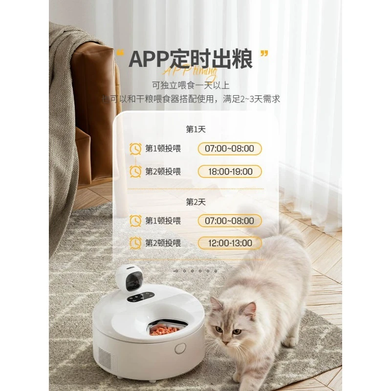 Distributore Automatico Intell - Pet Feeders recensione e prezzo