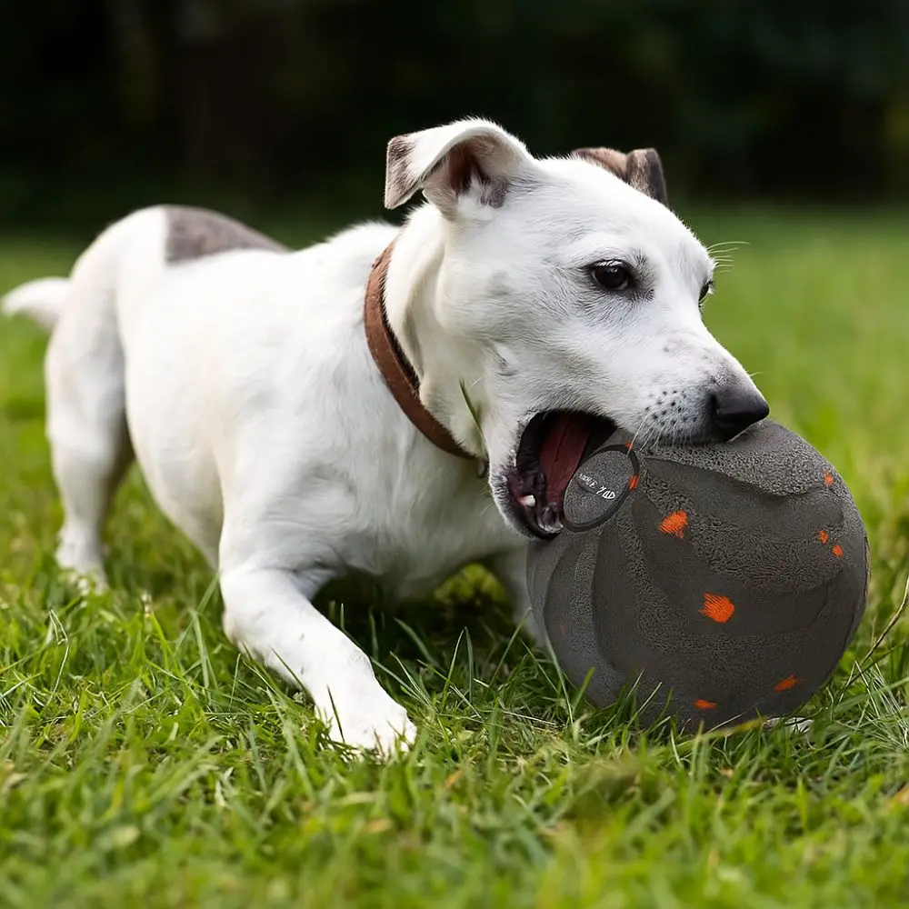 Palla Giocattolo Intelligente  - Automatic Moving Dog Ball recensione e prezzo