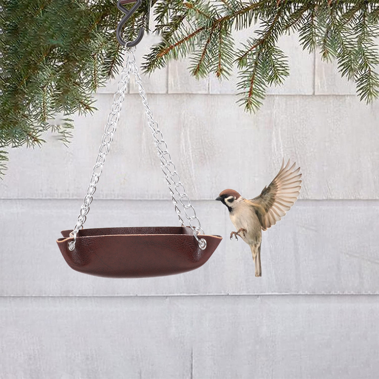 Mangiatoia per uccelli traspar - Pet Feeders recensione e prezzo