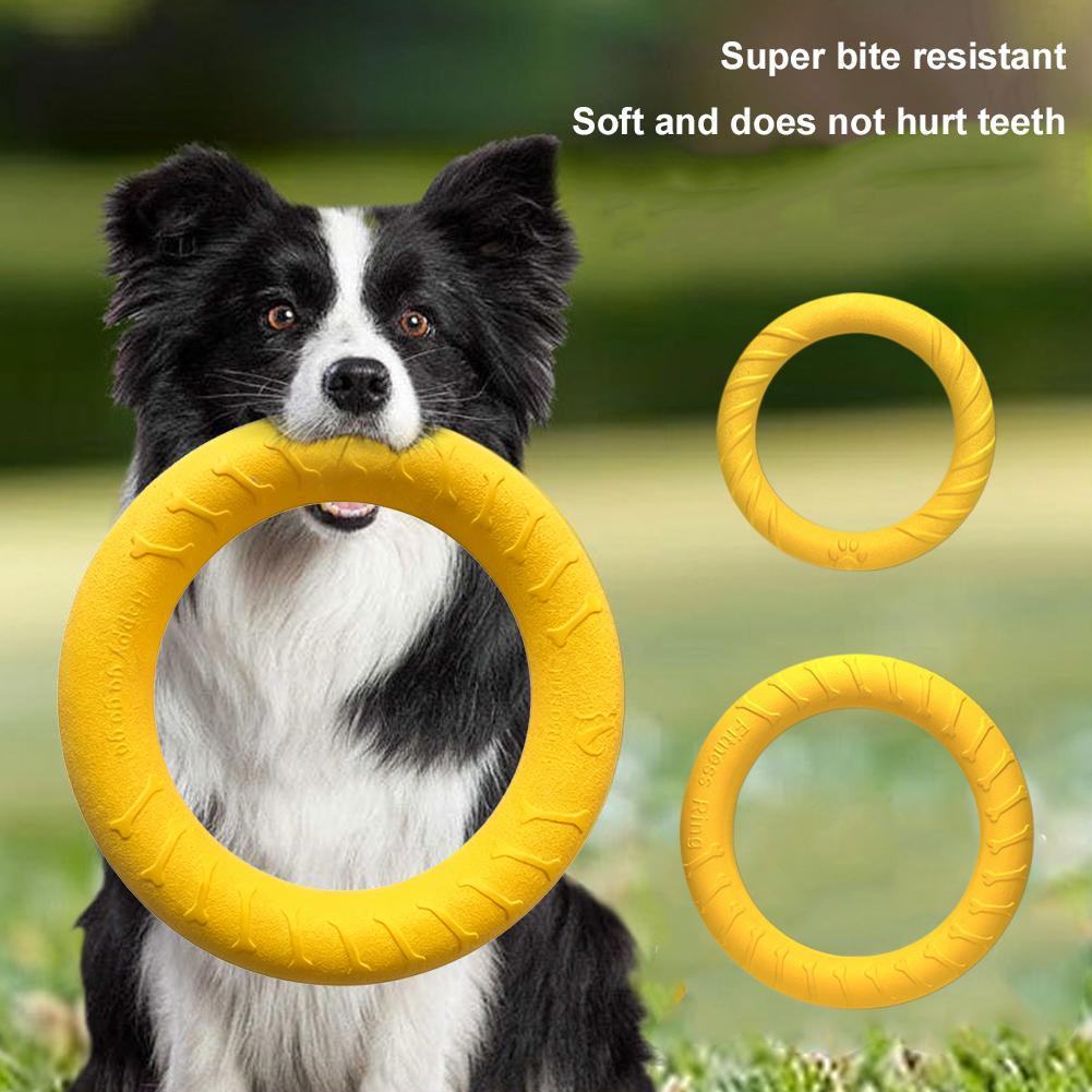 Giocattoli a forma di anello p - Indestructible Dog Chew Toy recensione e prezzo