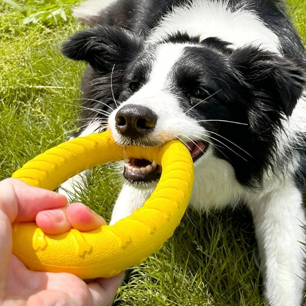 Giocattoli a forma di anello p - Indestructible Dog Chew Toy recensione e prezzo